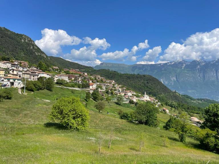 Family-oriented vacation home with patio | Nature view | Pet-friendly in Garda