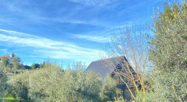 Chalet with pool | Dogs allowed in Viseu