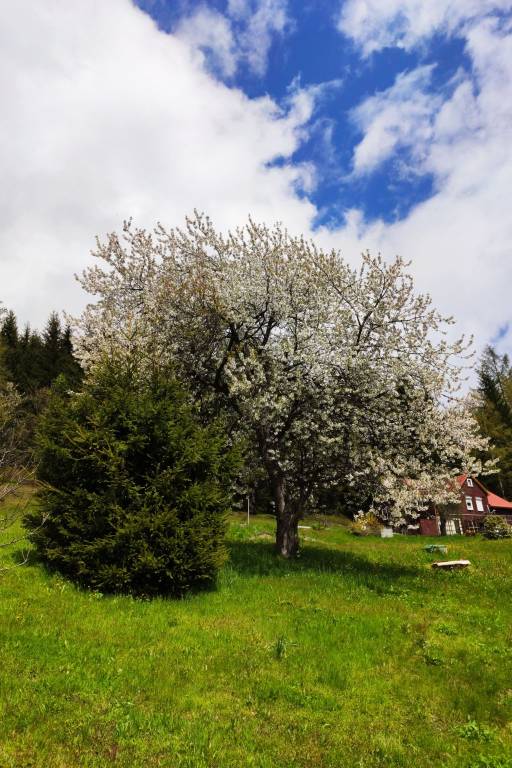foto12