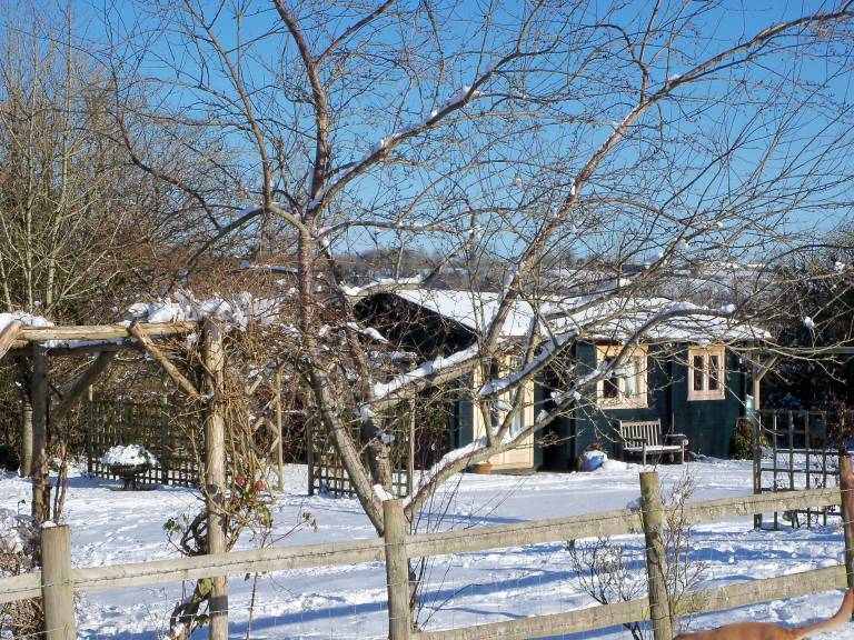 Cabin with yard — photo 5