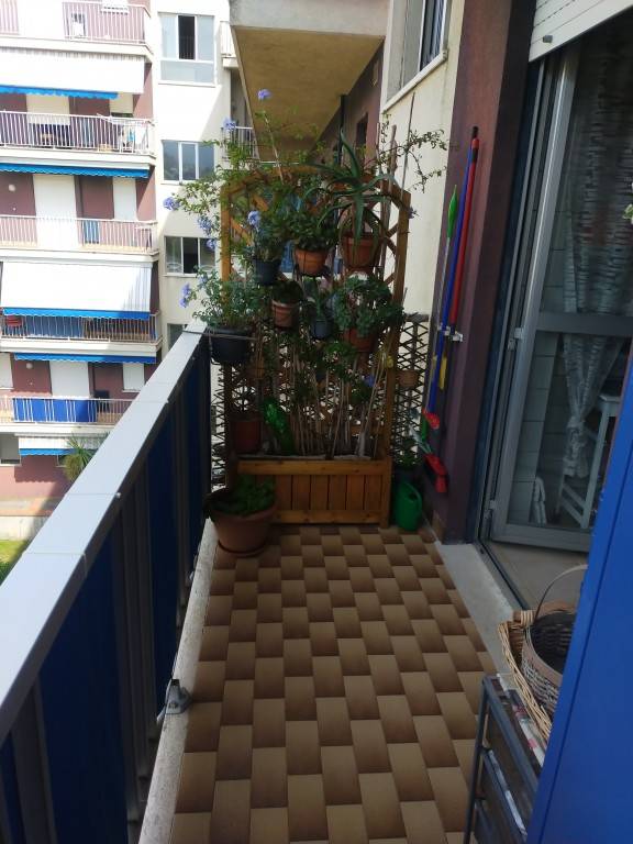foto34