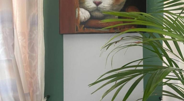 foto39