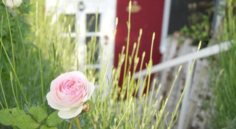 Ferienwohnung Gonsenheim