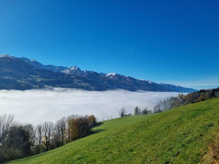 foto29