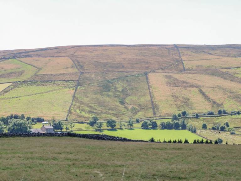 Cottage  Alston