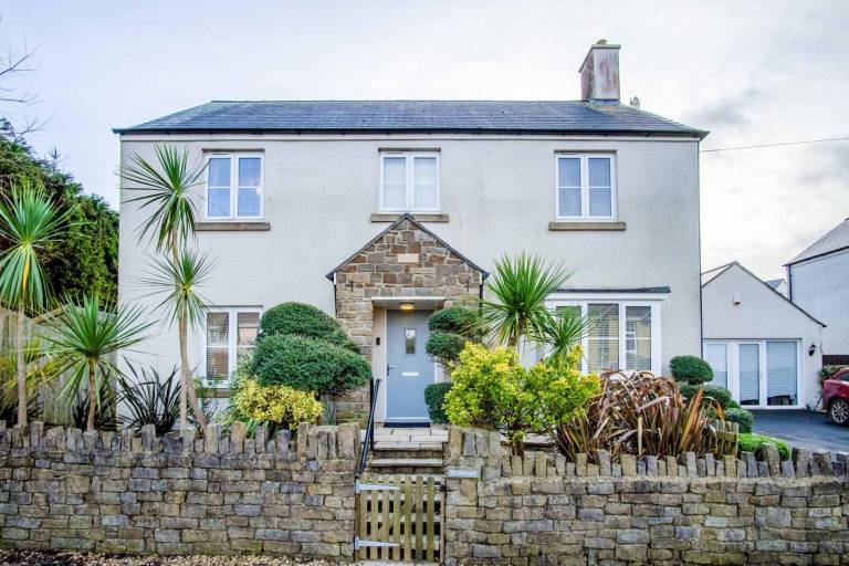 House with yard, grill & fast internet in Swansea