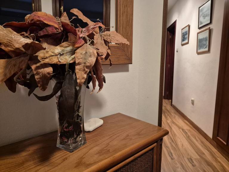 Apartamento Luanco