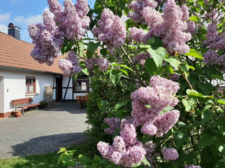 foto29