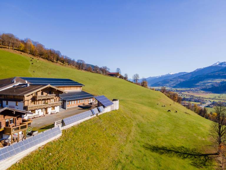 Ferienwohnung in Hofham, Uttendorf f&uuml;r max. 9 Personen