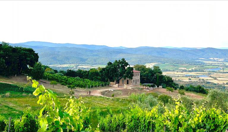 Luxusvilla mit Blick auf das Val d Orcia