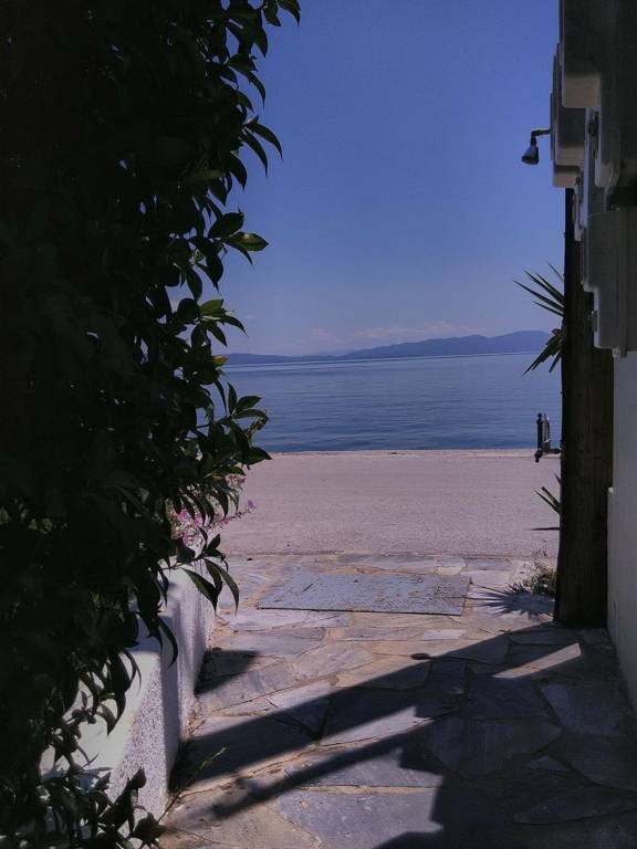 foto19