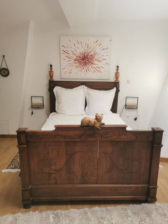 foto8