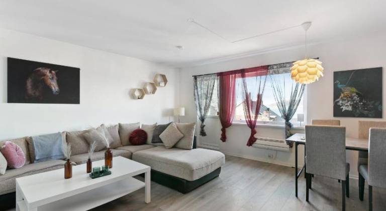 Beautiful rental apartment | Dogs allowed in Ålesund