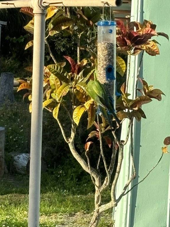 foto30