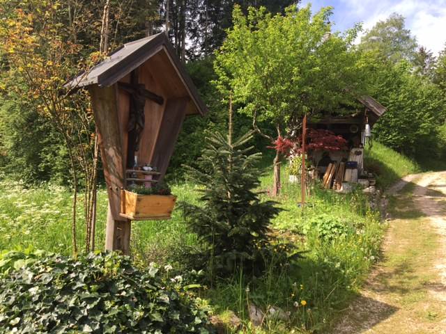 foto16