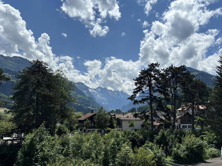 Appartement Frutigen