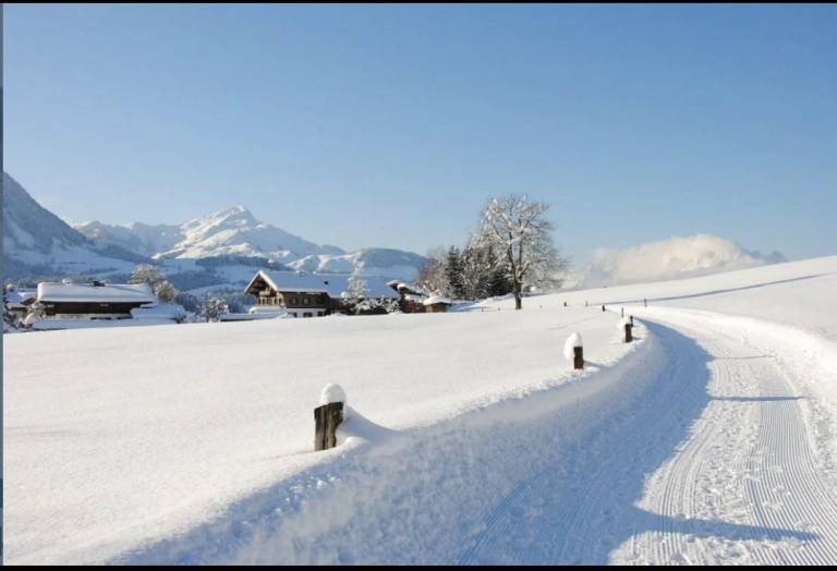 Alpen Flair — photo 3