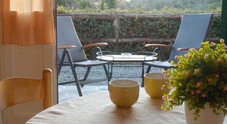 Farm with patio, BBQ & yard — photo 3