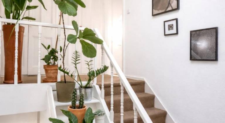 Beautiful rental apartment | Close to the beach | Pets allowed in Portsmouth