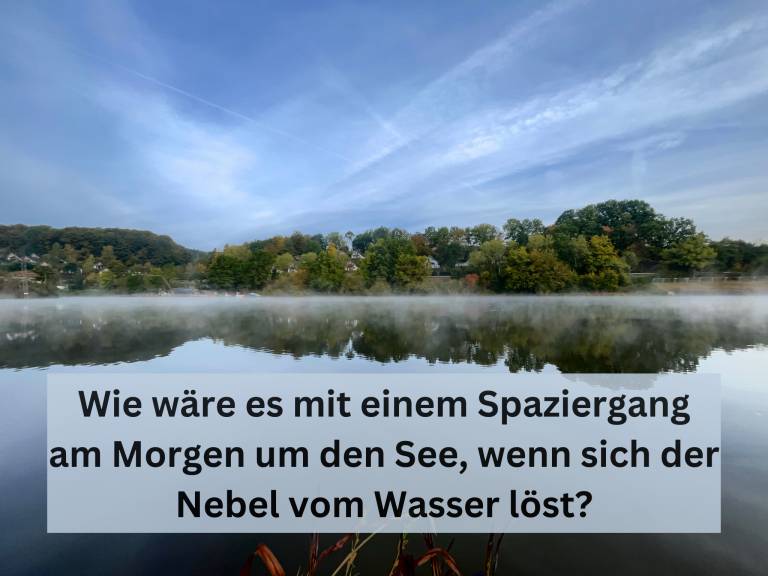 foto26