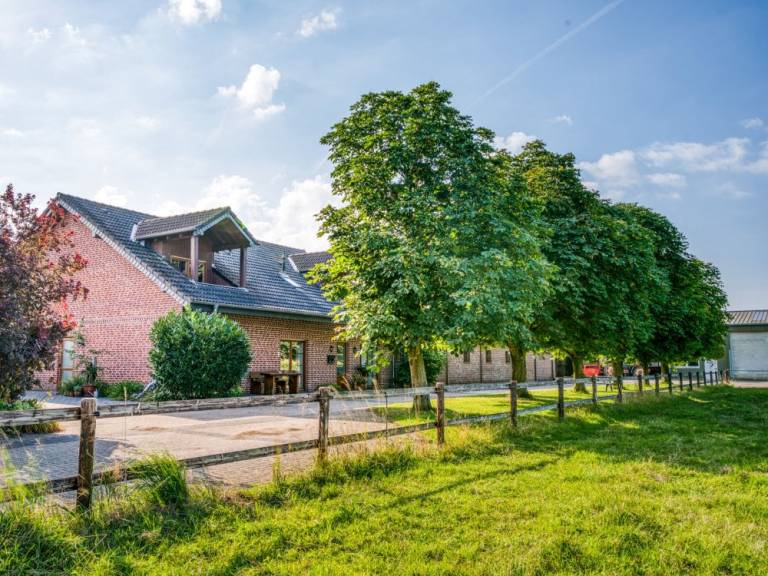 Ferienhof Schattmann (Sonsbeck) — photo 5