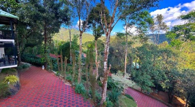 foto41