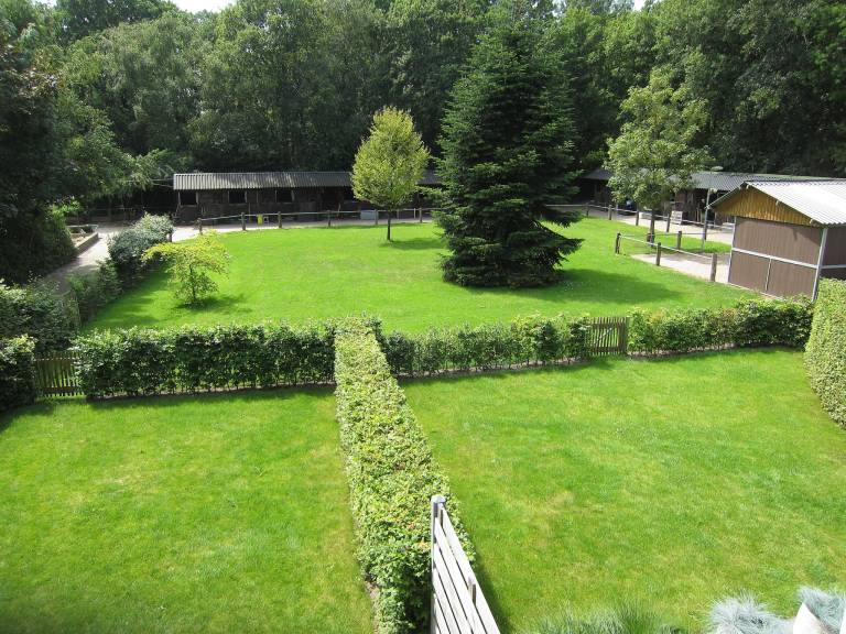 Apartment with yard & patio — photo 4