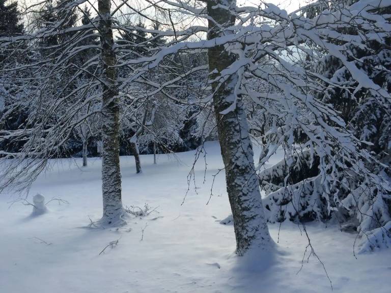 foto15