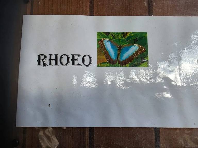 foto15