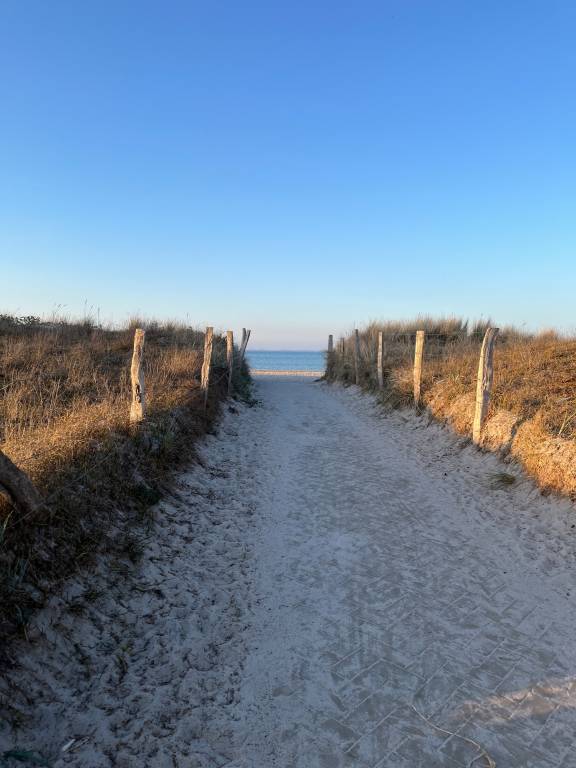 foto20