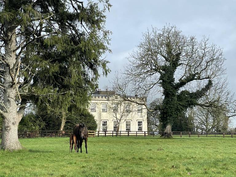 371 m&sup2; Ferienhaus