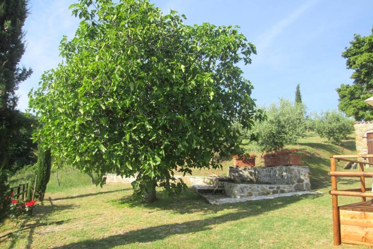 foto37