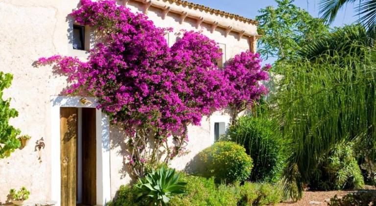 Lovely villa with pool | Pet-friendly — photo 3