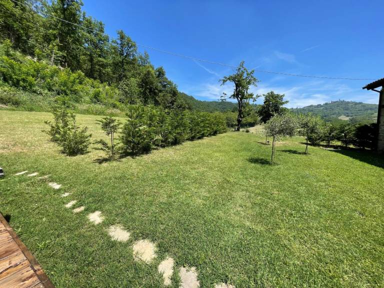 foto11