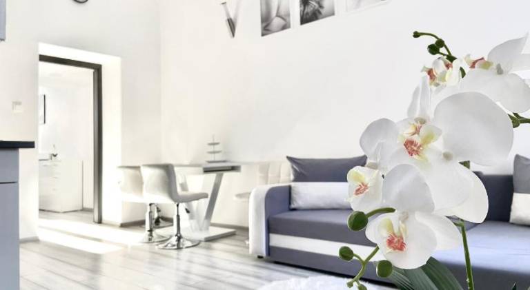 Apartment with 2 rooms for 6 persons — photo 3