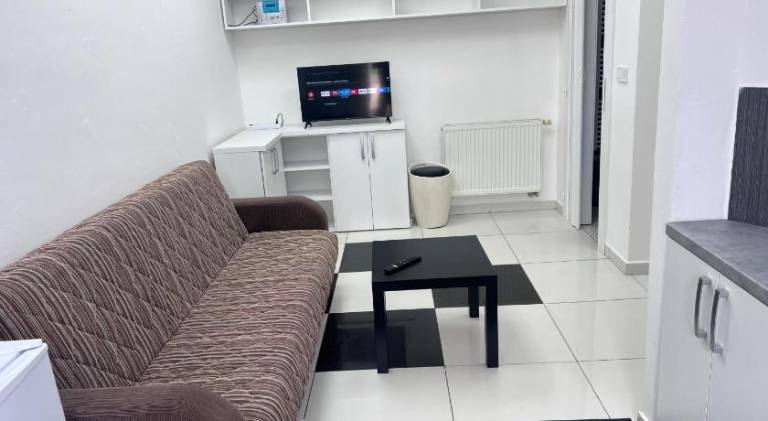 Apartment | Pets are welcome — photo 2