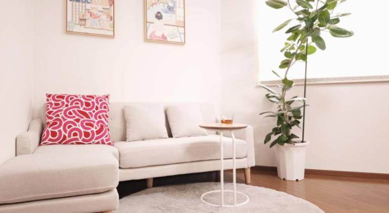 Vacation home | Pets allowed in Osaka