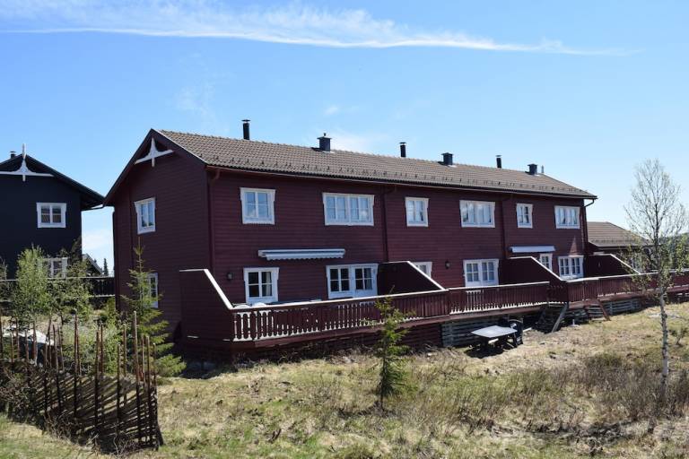 Hytte Skei