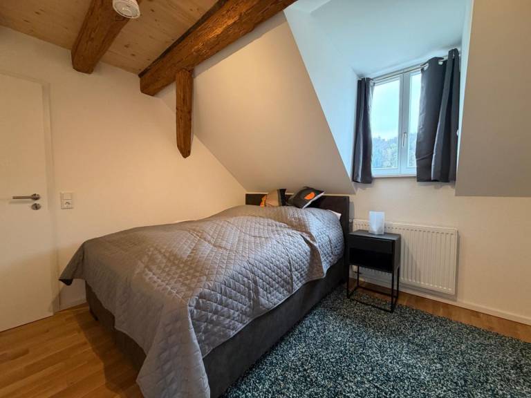 Schloss Espasingen Apartment 2 - Penthouse-Apartment im historischen Schloss — photo 5