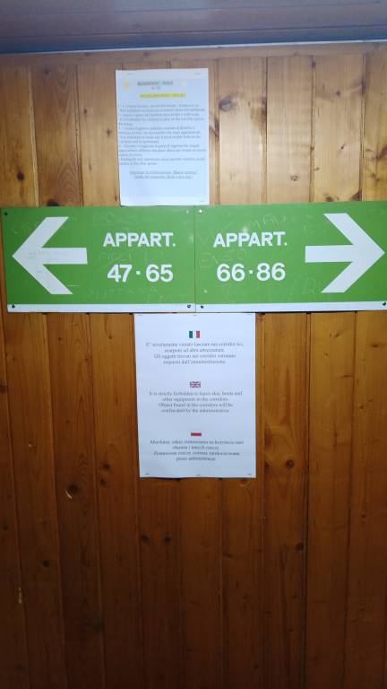 foto31