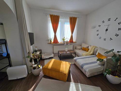 foto10