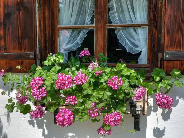 foto37