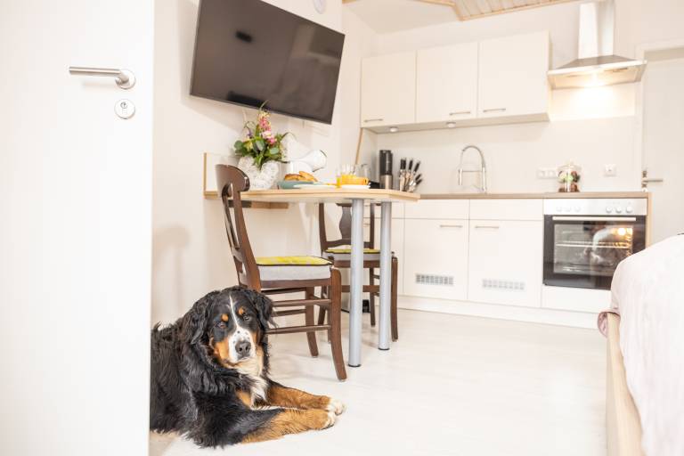 Holiday apartment with fast internet | Good for workation | Pets are welcome — photo 5