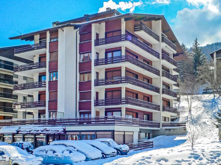 Holiday apartment with terrace | Ski nearby | Good for workation | Pet-friendly in Veysonnaz