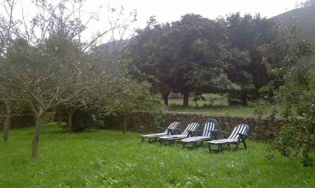 foto10