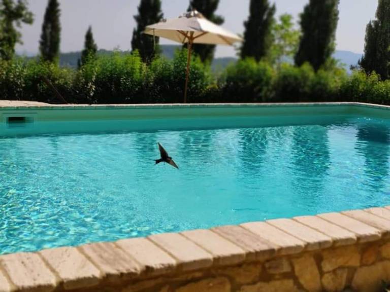 Il Borgo del Lupo: Due Calzini — photo 5