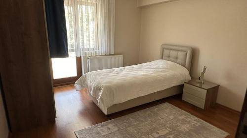 foto11