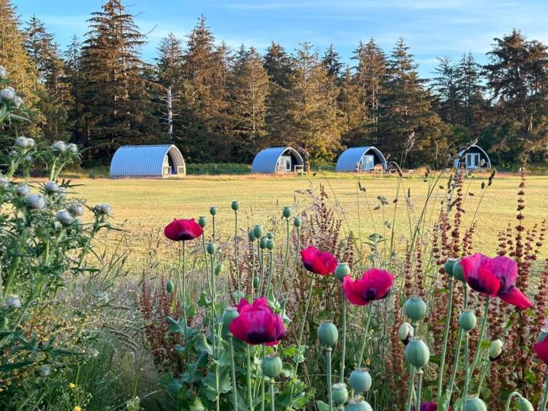 Resort Sandspit