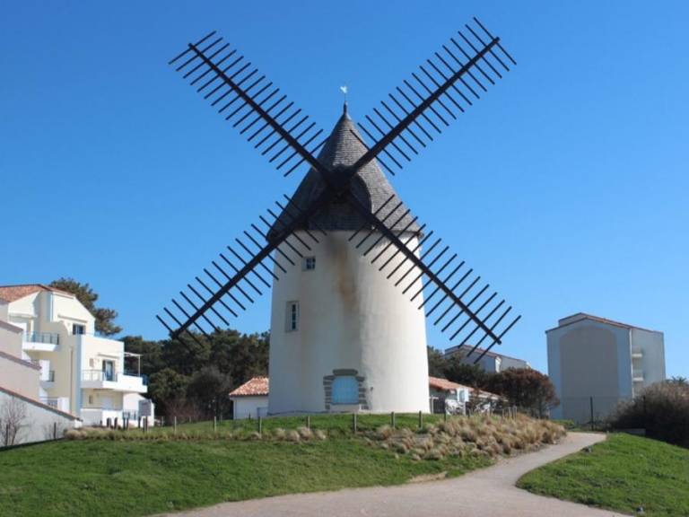 foto16