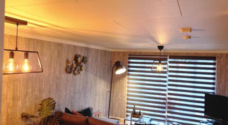 Veluwe Park Reewold-Chalet in Putten voor rust zoeker — photo 3